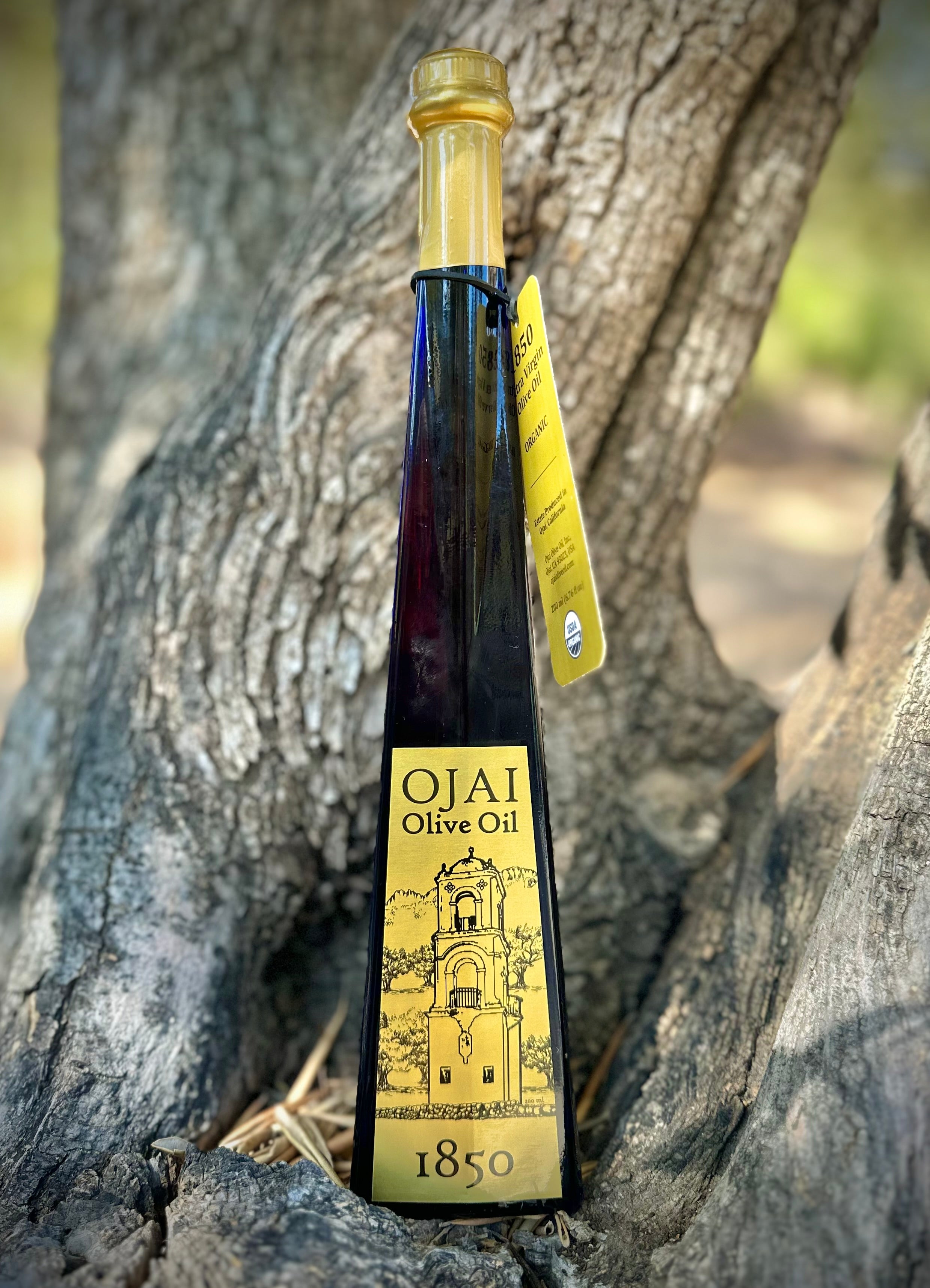 1850 Organic Extra Virgin Olive Oil – Ojai Olive Oil