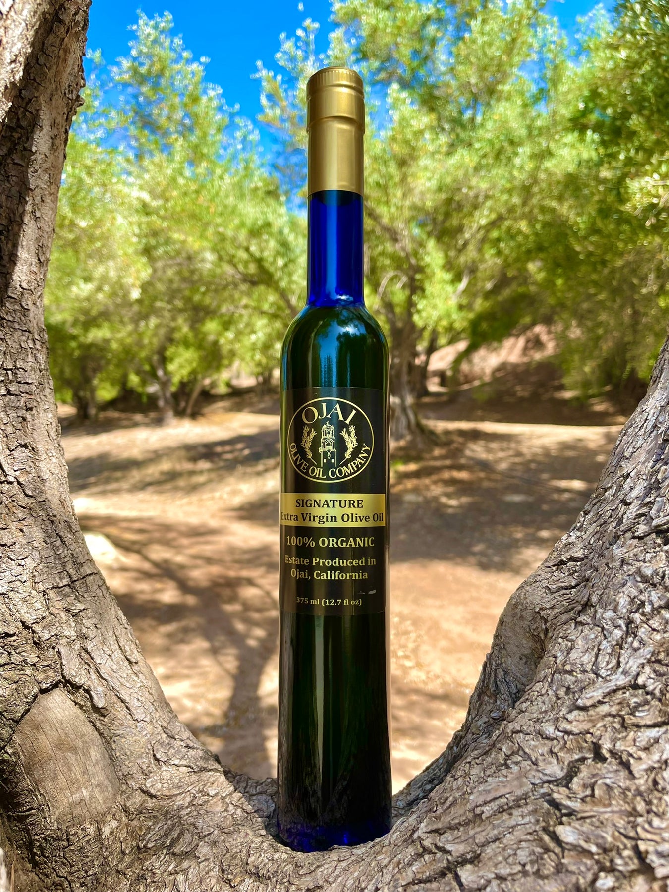 Tuscan Extra Virgin Olive Oil – Ojai Olive Oil