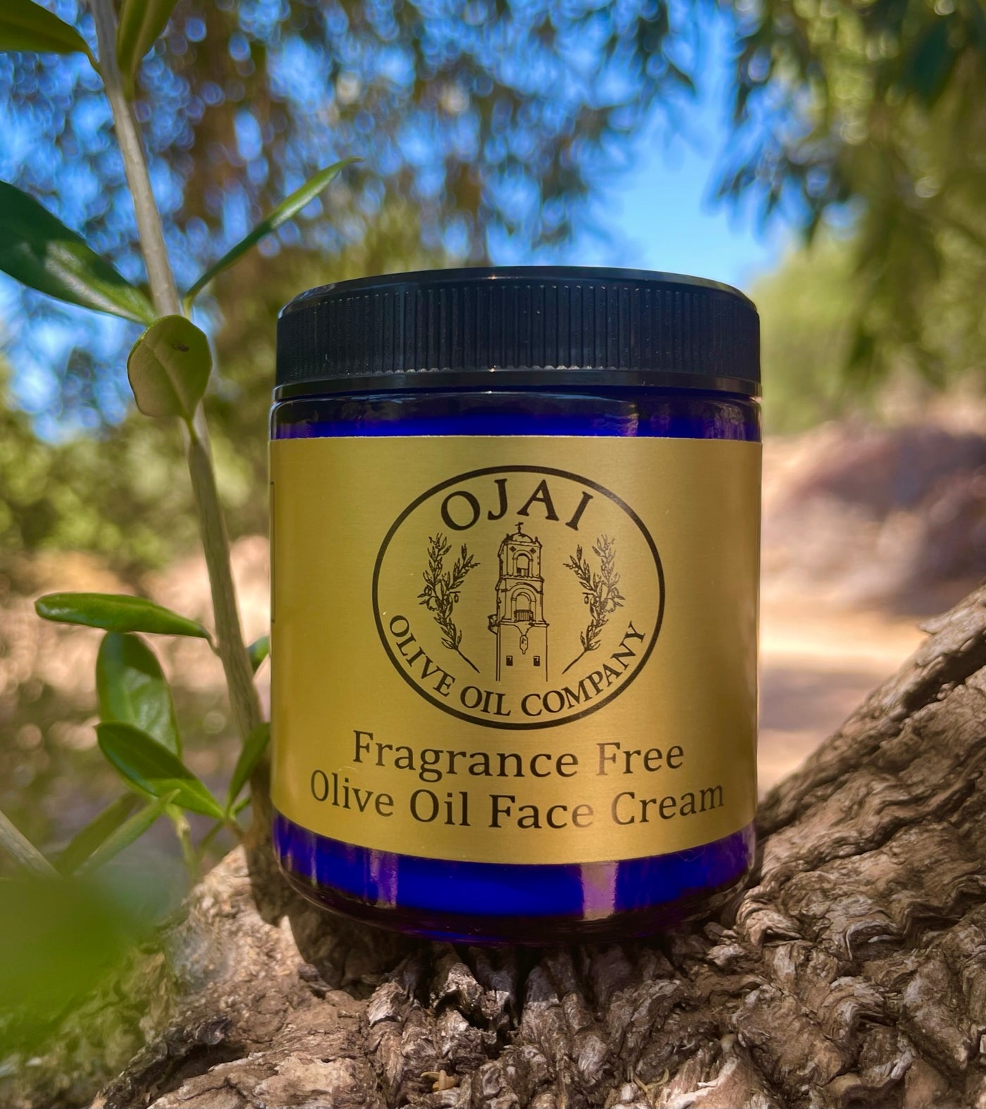 Unscented Olive Oil Face Cream