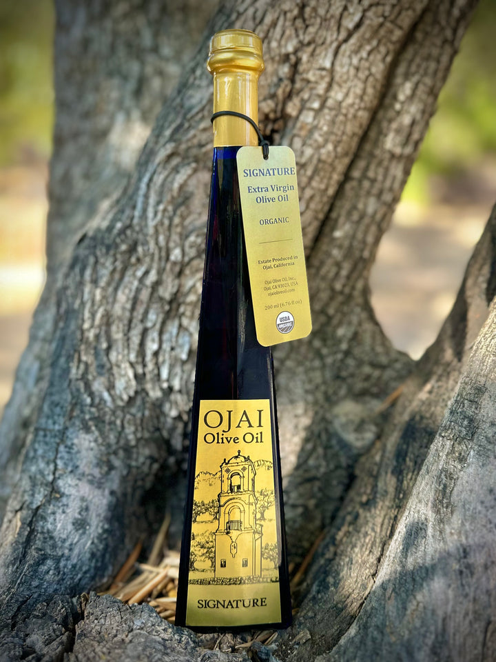 邦楽 THE OTOGIBANASHI'S Department Olive Oil Signature Organic Extra Virgin Olive Oil – Ojai Olive Oil