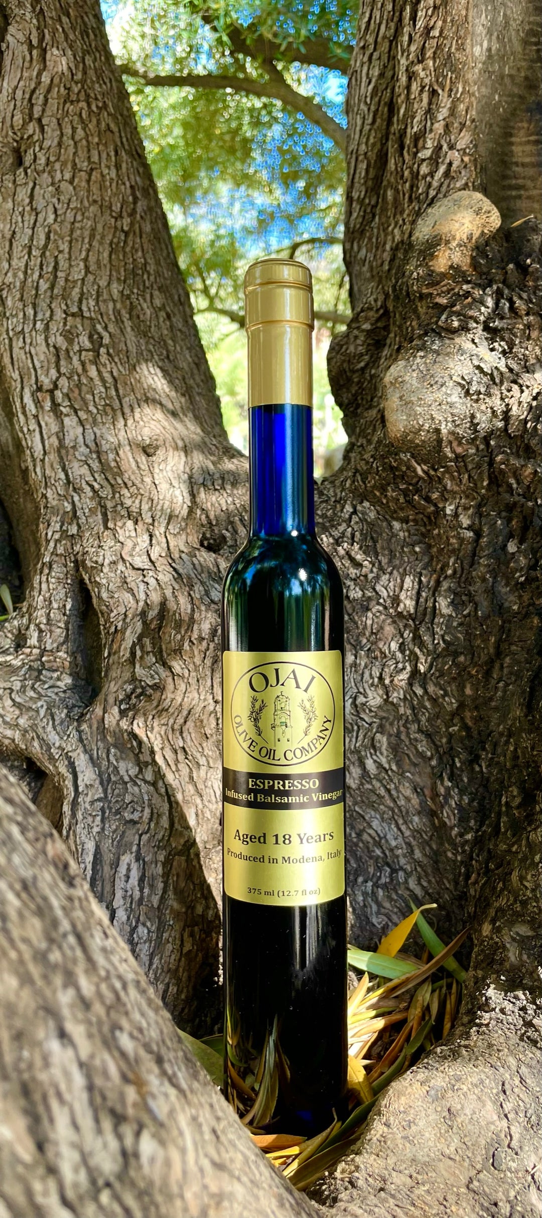 シーズンズ A1オイル オータム・ウィンター 30mL Espresso Infused Balsamic Vinegar – Ojai Olive Oil