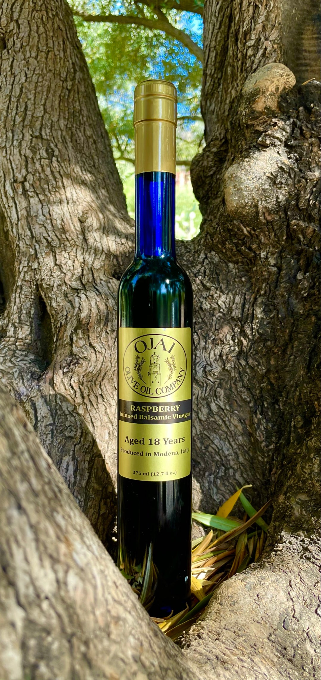 Raspberry Infused Balsamic Vinegar – Ojai Olive Oil