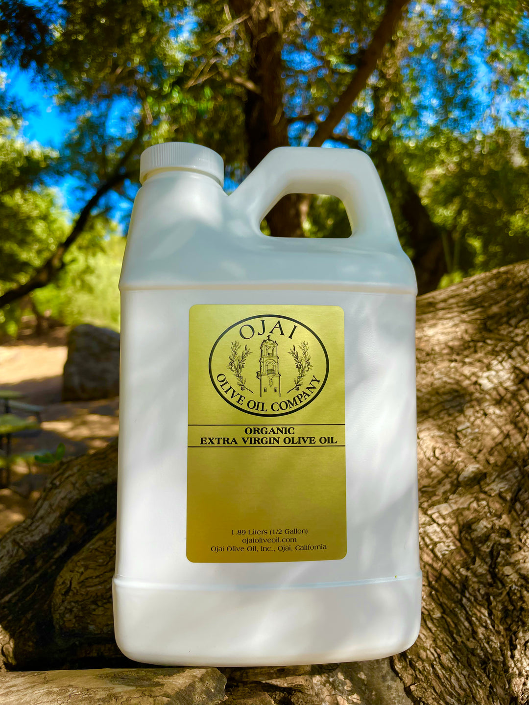 Lemon Infused Olive Oil – Ojai Olive Oil