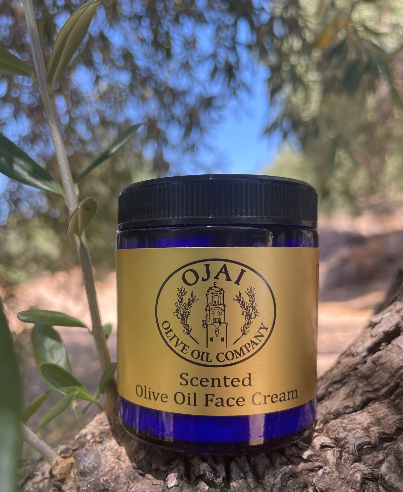 Scented Olive Oil Face Cream